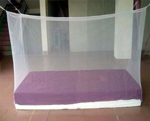 ylp^Cvz ᒠ C΍ ̐Nh Ă̒ ߓd J HOP-KAYA190 