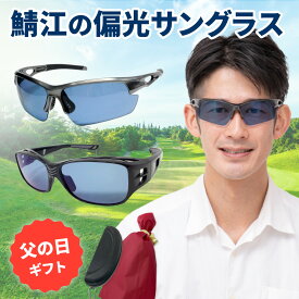 まだ間に合う 父の日 ギフト プレゼント 偏光 ゴルフ スポーツ アウトドア 野球 テニス 釣り 登山 ランニング サイクリング ネオコントラスト テクノロジー ネオグラス サングラス メンズ レディース ユニセックス UVカット ZST001 SC102