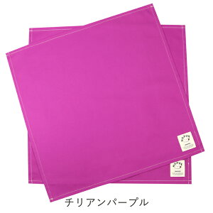 `NX 2Zbg `NX w itL wZ H itL ʉ ʊw   w wObY e[uNX itL ٓObY wZbg H j̎q 