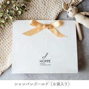 ギフトセット 無添加 離乳食 国産 特別栽培米 国産野菜 ハーフバースデー おじや おかゆ 赤ちゃん レトルト ベビーフード BF プレゼントおかず 贈り物 無添加 クリスマス ギフト 9ヶ月 お誕生