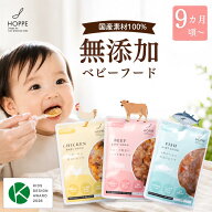 ＼10％OFF期間中／【組み合わせ自由】9か月から 一袋完結 離乳食 ベビーフード 特別栽培米 10ヶ月 11ヶ月…