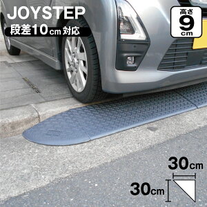 iX[v iv[g R[i[ 10cm 90×s300×300mm _[NO[ |G` yh239