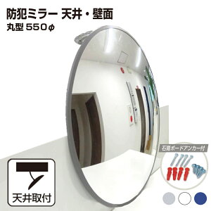 カーブミラー 室内 防犯ミラー 丸型 550φ フレキシブル アーム フレキ ビス止め 防犯 屋内 天井 壁面 店舗 万引き イタズラ 防止 防犯グッズ 盗難防止 業務用 アクリル製 /グレー/白/青/日本製