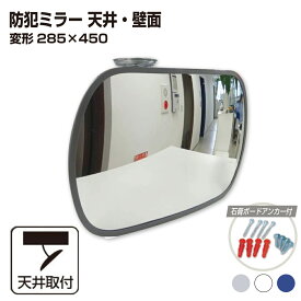 カーブミラー 室内 防犯ミラー 変形 285×450mm オーバル フレキシブル アーム フレキ ビス止め 防犯 屋内 天井 壁面 店舗 万引き イタズラ 防止 防犯グッズ 盗難防止 業務用 アクリル製 /グレー/白/青/日本製 yh065