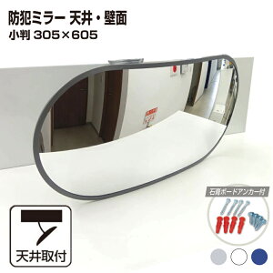 カーブミラー 室内 防犯ミラー 小判 305×605mm フレキシブル アーム フレキ ビス止め 防犯 屋内 天井 壁面 店舗 万引き イタズラ 防止 防犯グッズ 盗難防止 業務用 アクリル製 /グレー/白/青/日