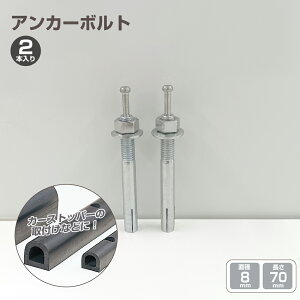 カーストッパー 用 アンカーボルト 2本入り タイヤストッパー ターミナルラバー 取付け アンカー ボルト ネジ 直径8mm 70mm yh277