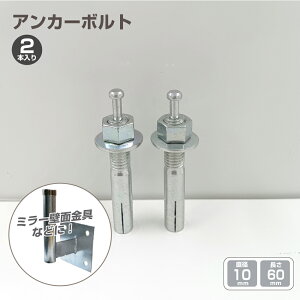 アンカーボルト 2本入り ミラー ガレージミラー カーブミラー コンクリート 壁面金具 用 壁 アンカー ボルト ネジ 直径10mm × 長さ60mm yh1425