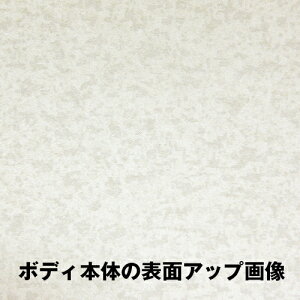 K[W~[ GNXeA~[ p^ 185×210mm O   \t ʃe[vt { yh231
