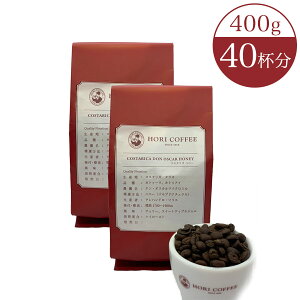 RX^J nj[ n`~cv킹Ɠ̕ 400g 40t R[q[ VN  ubN     uh ҂ JtF  v~A coffee j 