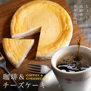 XC[c Mtg ɂ̃NVbN`[YP[L hbvR[q[10pbN `[YP[L fU[g Mtg v[g lߍ킹  Zbg [Ё[ [[ fU[g j 