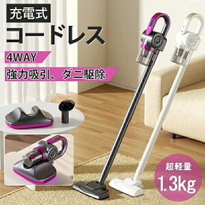 |@ R[hX [d OE _j쏜 4WAY 31000Pa TCN USB-TypeC[d ͋z XeBbN l炵 TCN ȃGl É  ԗp  z͔Q ^ y [ 