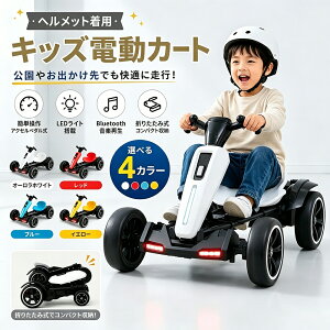 ミニカー 乗用 電動 カー」の人気商品一覧・価格比較 - 価格.com
