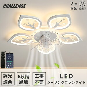 yr[TE2Nۏ؁zV[Ot@Cg k dc[^[ ȃGl ^ 60cm F U T[L[^[ y  R V[Ot@ rO t@ Cg 