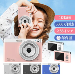 LbYJ fW^J qpJ gCJ 5000f 4k^ ȒP 掿 ʐ^  mߋ fW^ J ̎q j̎q 4 5 6 w LbY a wj v