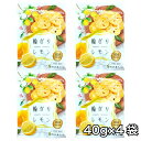 南信州菓子工房 国産輪切りレモン 40g ×4袋 国産 ドライフルーツ 半生ドライフルーツ レモン お菓子 おやつ チャック…