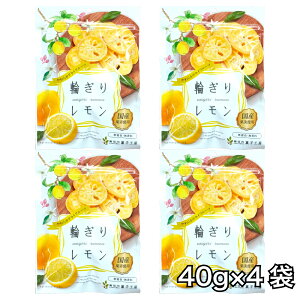 MBَqH[ Y֐؂背 40g ×4 Y hCt[c hCt[c  َq  `bNt F 