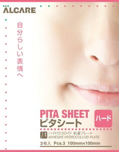 APA@s^V[g@n[h@100mm×100mm@3y×pEnChRCh Sv[gz19011
