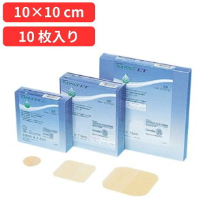 yyzRoebN fIANeBuET 10cm×10cm10ET10101yǏǗnChQn핢Eیށz