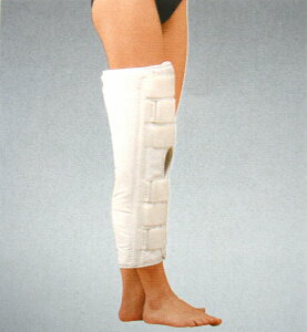 APA@j[u[X@×pLWʕG֐ߌŒ