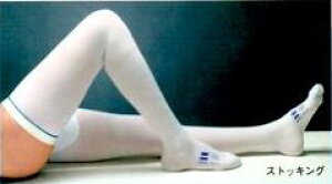 yyzTED T[WJXgbLO@XgbLO^CvieXgbLOj@×p