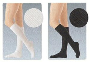 APA@AVN@roiX@nC\bNXieXgbLOj@×p