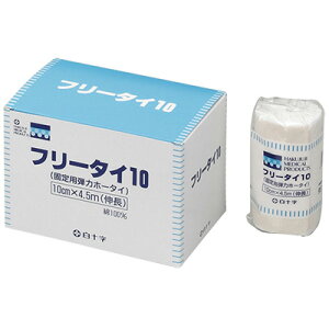 \@t[^C 6R 10cm×4.5miLjye͕сz