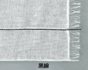 IITLfBJ@ŋOPK[[X TS@TS4-30@30cm×30cm@4c 30i10܁j10075