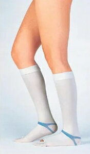 EfBJ t@CT|[g@nC\bNX^Cv LLTCY@@񑾂23`26cm@g166cm@FS-H-LLR@Б(1{)yG^Cvz×peXgbLO