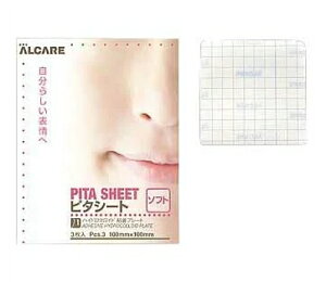 APA@s^V[g@\tg@100mm×100mm@3y×pEnChRCh Sv[gz19001