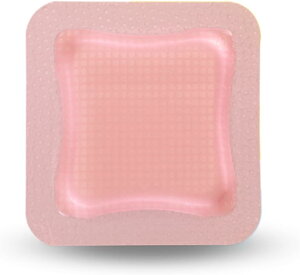 X~Xlt[@nChTCgADWFg TCY17.5cmx17.5cmpbh15cmx15cm10@yn핢Eیށz66800541@VR[QSe|E^tH[hbVO