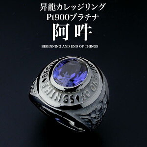 JbWOE݁EPt900v`i@O  h Tt@CA r[ NH[c IjLX platinum   C O