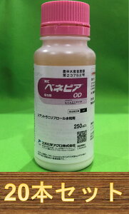 y1P[X20{ZbgzxlrAOD 250ml×20{ E