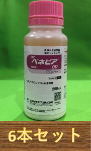 y6{ZbgzxlrAOD 250ml×6{ E