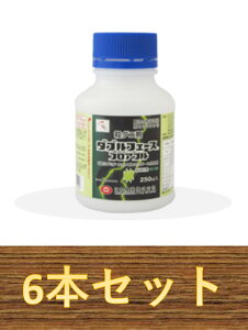 y6{Zbgz_utF[XtAu 250ml×6{ E_j