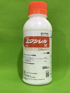 GNVSE 500ml E