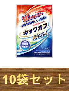 y10܃Zbgz LbNIta 250g ×10 E