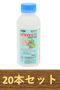 y1P[X20{ZbgzsVbNtAu 500ml×20{ Eۍ