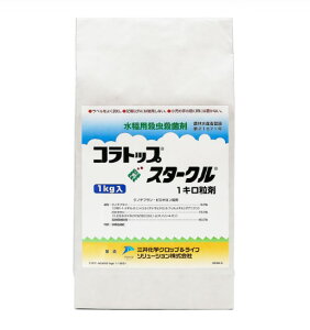 RgbvX^[N 1kg EEۍ