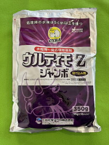 EeBZW{@350gi35g×10pbNj@pꔭ