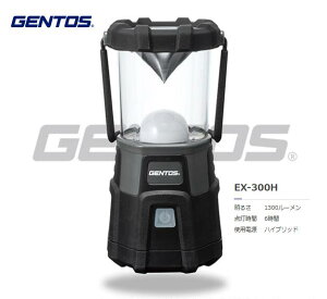 GENTOS@GNXv[[ nCubh^d@\t@EX-300H