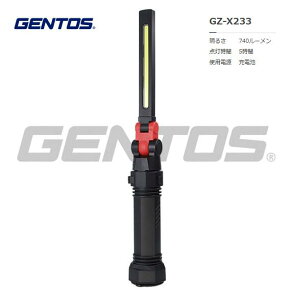 GENTOS@Kc 2[NCg[dr@GZ-X233