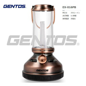 GENTOS@GNXv[[ ~jNVbN^d@\t@EX-016PB