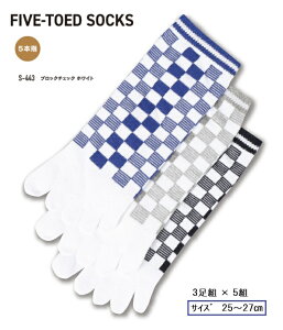 �����ӂ���܁@FIVE-TOED SOCKS�@�u���b�N�`�F�b�N �z���C�g�y5�{�w�z 3���g × 5�g�i�T�C�Y25�`27cm�j3�F�A�\�[�g