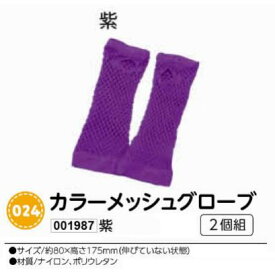 アーテック　カラーメッシュグローブ　2個組　紫　品番001987