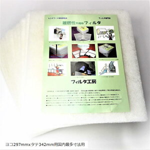 yyVLO1ʓ܁zWt[h tB^[ C[^pgp gR297mmx^e342mmp RsDztB^12