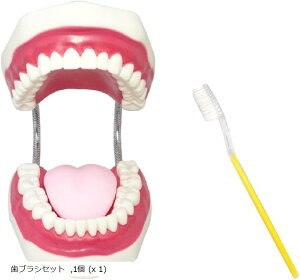 yyVLO1ʓ܁zV[GC ZNg  ͌^ ͌^ ͌^ ^ f iK J uV Zbg (uVZbg, 1 (x 1))