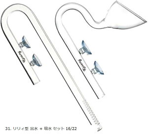 p B^ NAKXpCv Mы ANAE  16/22 z[Xp o z Zbg (31. B^ o + z Zbg 1)