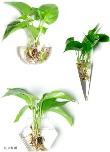 KX ԕr 3 tbN Zbg Ǌ| ~j ֑}  A GAvc AeB[N G T{e CeA NX^ K[fjO  Zp ( Zp )