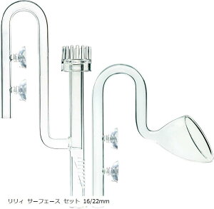   T[tF[X XL}[ B NA KX Zbg ANAE   Mы 16/22mm (B T[tF[X Zbg 16/22mm)