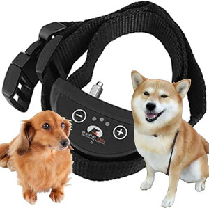 yyVLO1ʓ܁zʖih~ ނڂ   ֏[d (ubN)